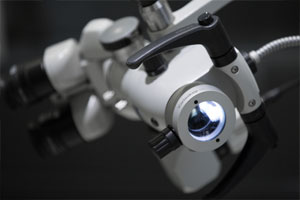 
Zoom sur <strong>le microscope</strong>